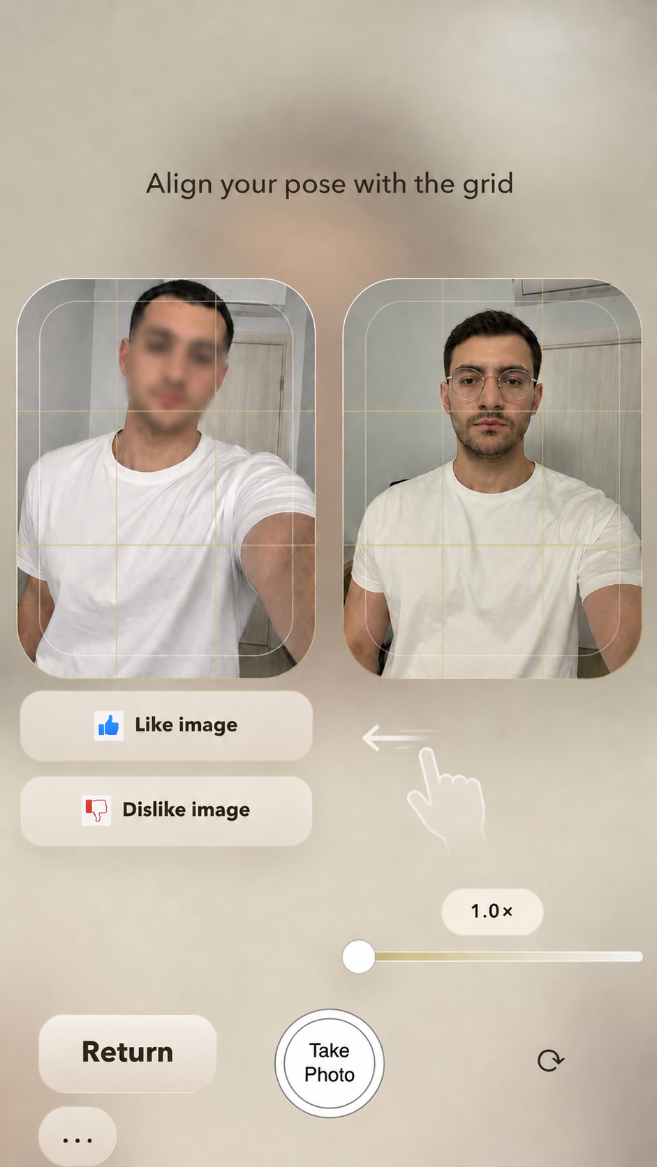 Using the selected image with grid lines